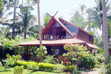 Coconut Paradise 2